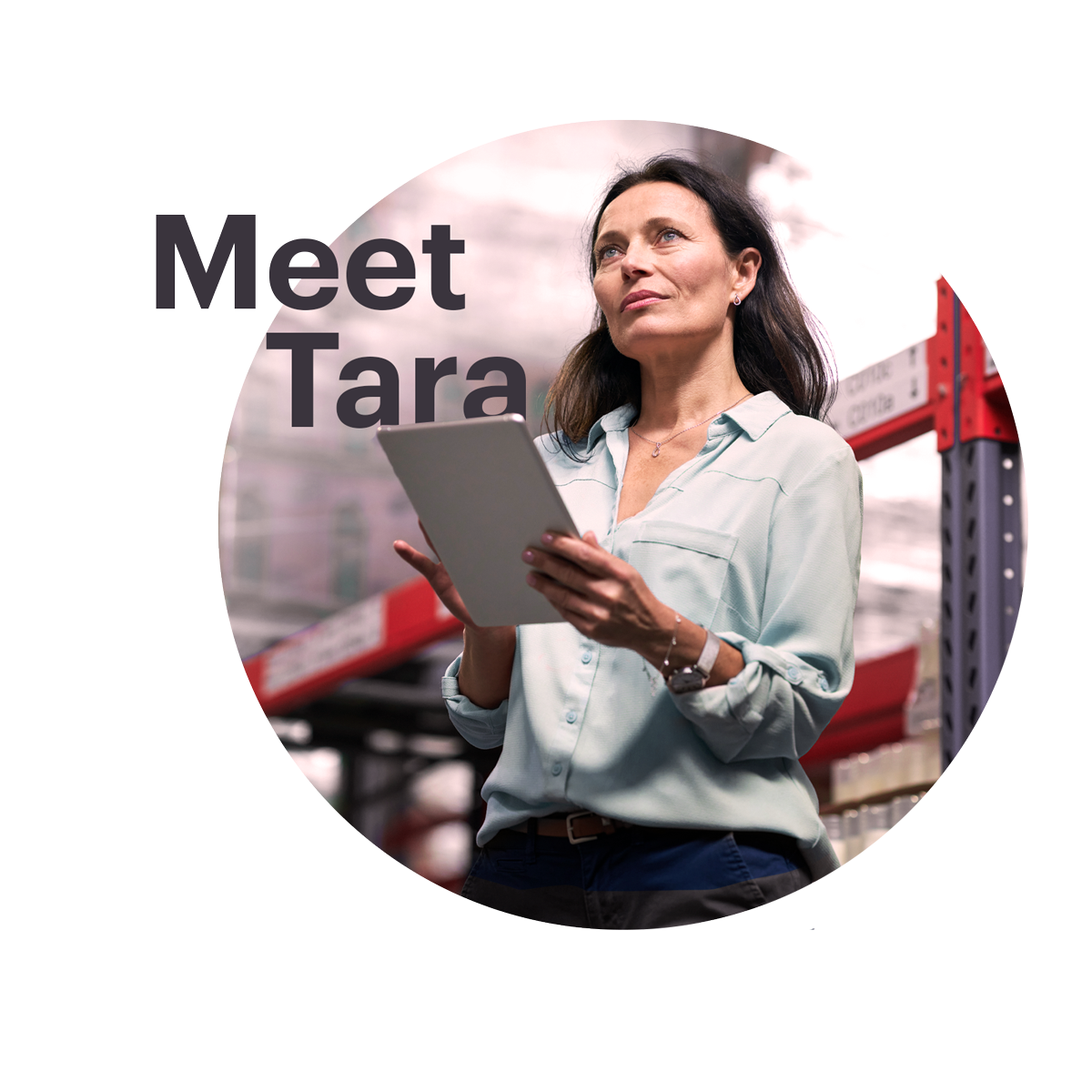 Tara-wholesaler.png Tara-wholesaler.png